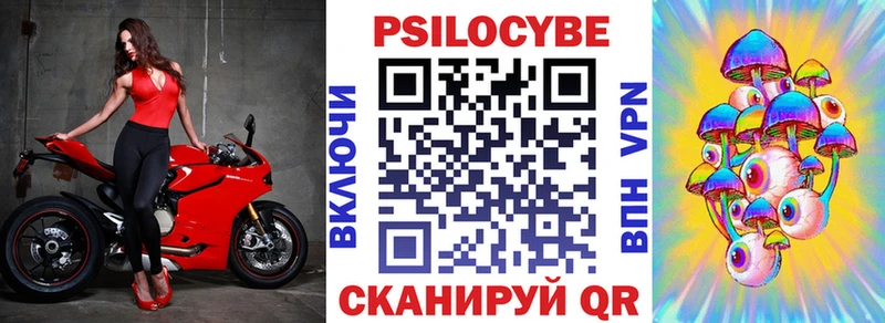 Псилоцибиновые грибы Cubensis хочу наркоту Барабинск